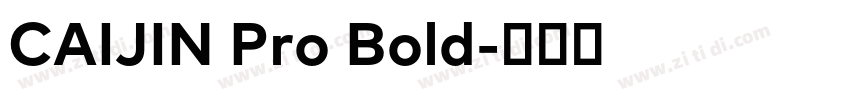 CAIJIN Pro Bold字体转换